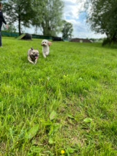 image0 (1).JPEG