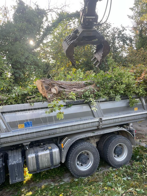 Grünzeug Entsorgung