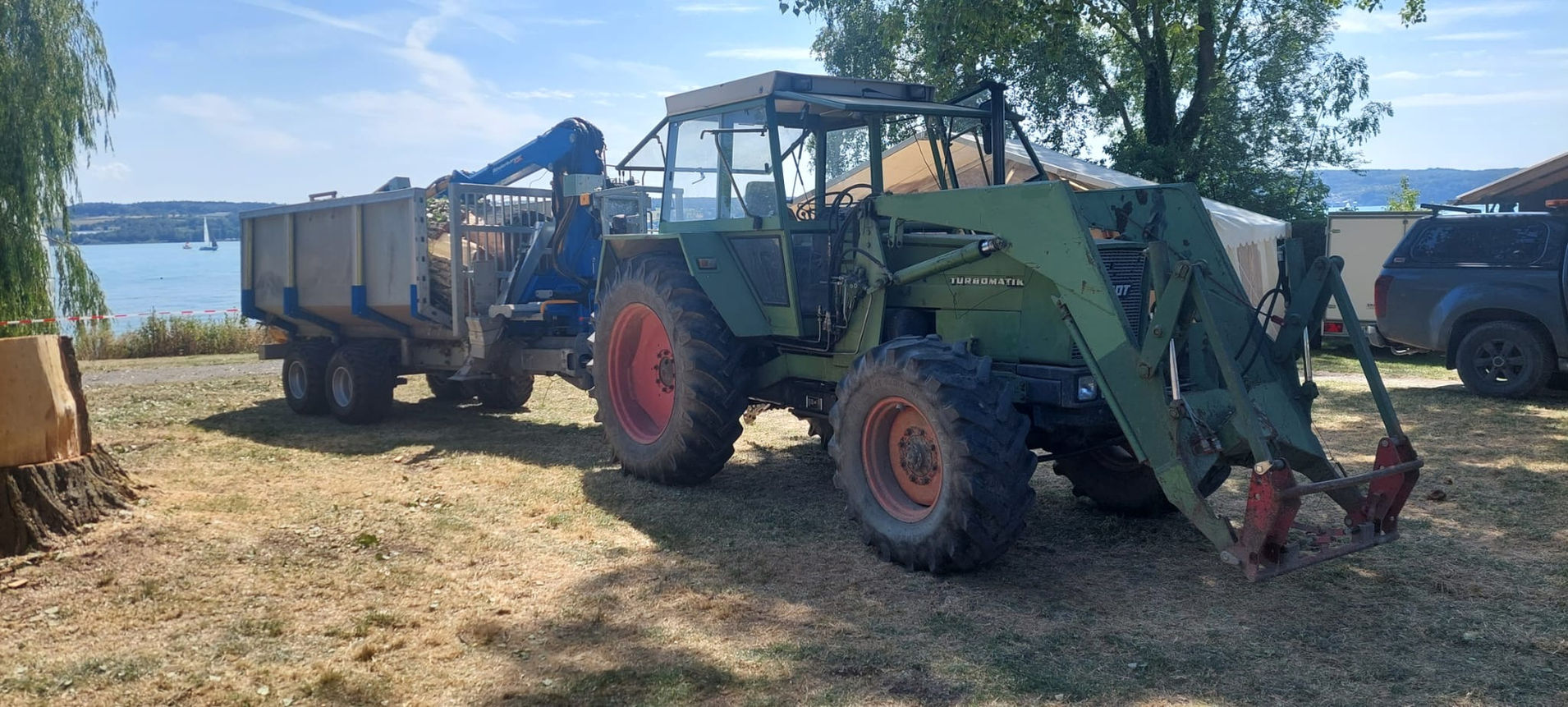 Bodensee Baum Abtransport