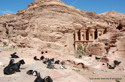 jordanie (56)