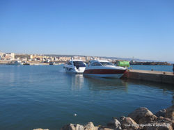 algerie (4)