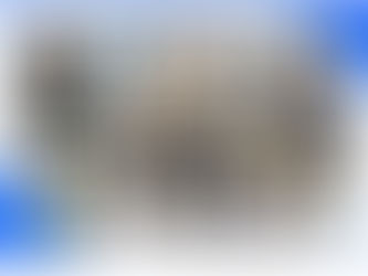 Світло незламності: енергія знань, що надихає та об’єднує