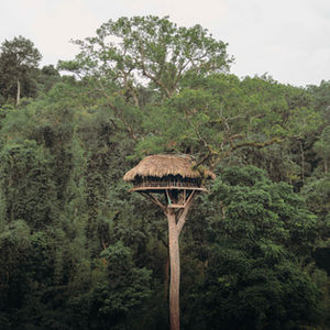 Laos