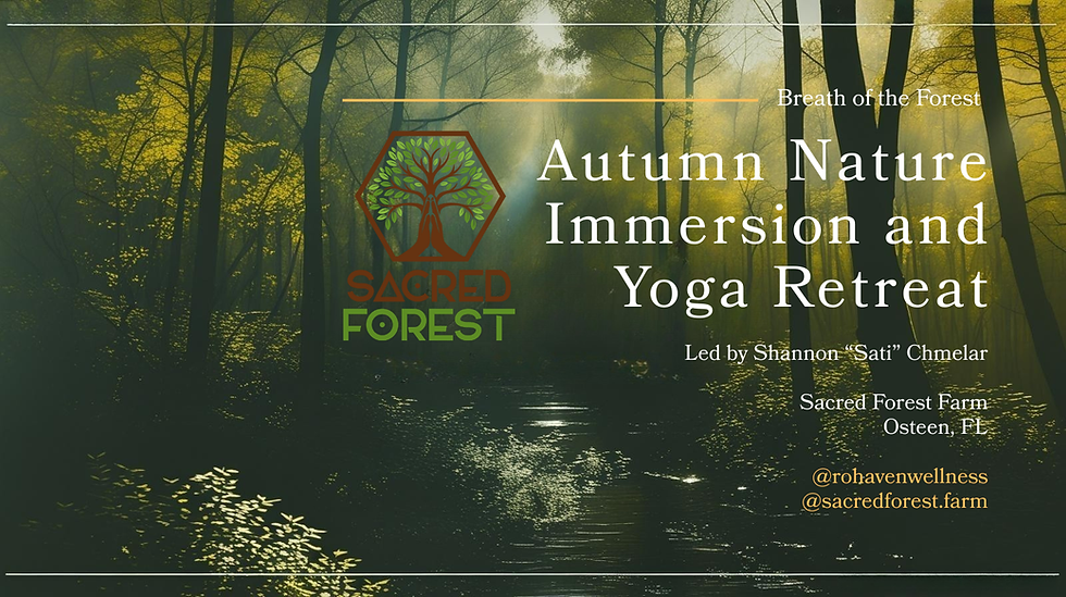 Autumn Nature Immersion and Yoga Retreat