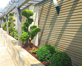 1000011986 copie_edited.jpg