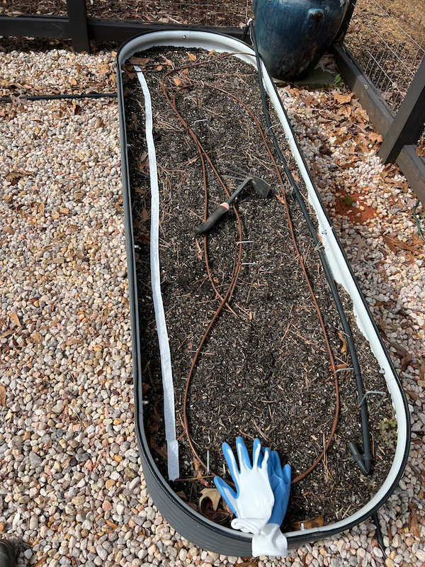 seed tape in end of summer bed