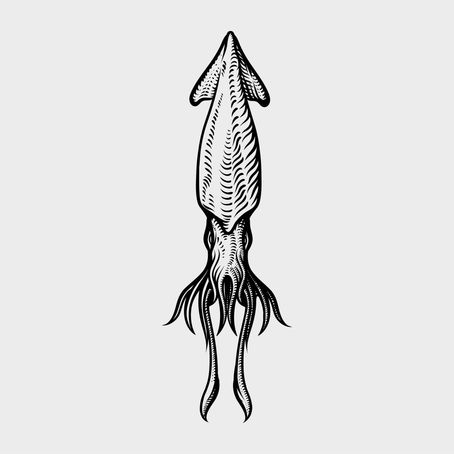 Squid Beak - Victor Rees