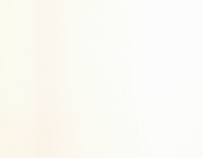 Sandberg Wallpaper_edited_edited.jpg