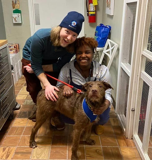 Dog Adoption