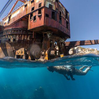 Animal Ocean Safari Cape Town Steve Benjamin.jpg