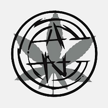 ANC Favicon