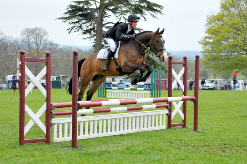 HOME martinsirishhorses