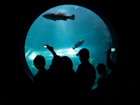 Expeditionary Learning: Why it Matters in 2021