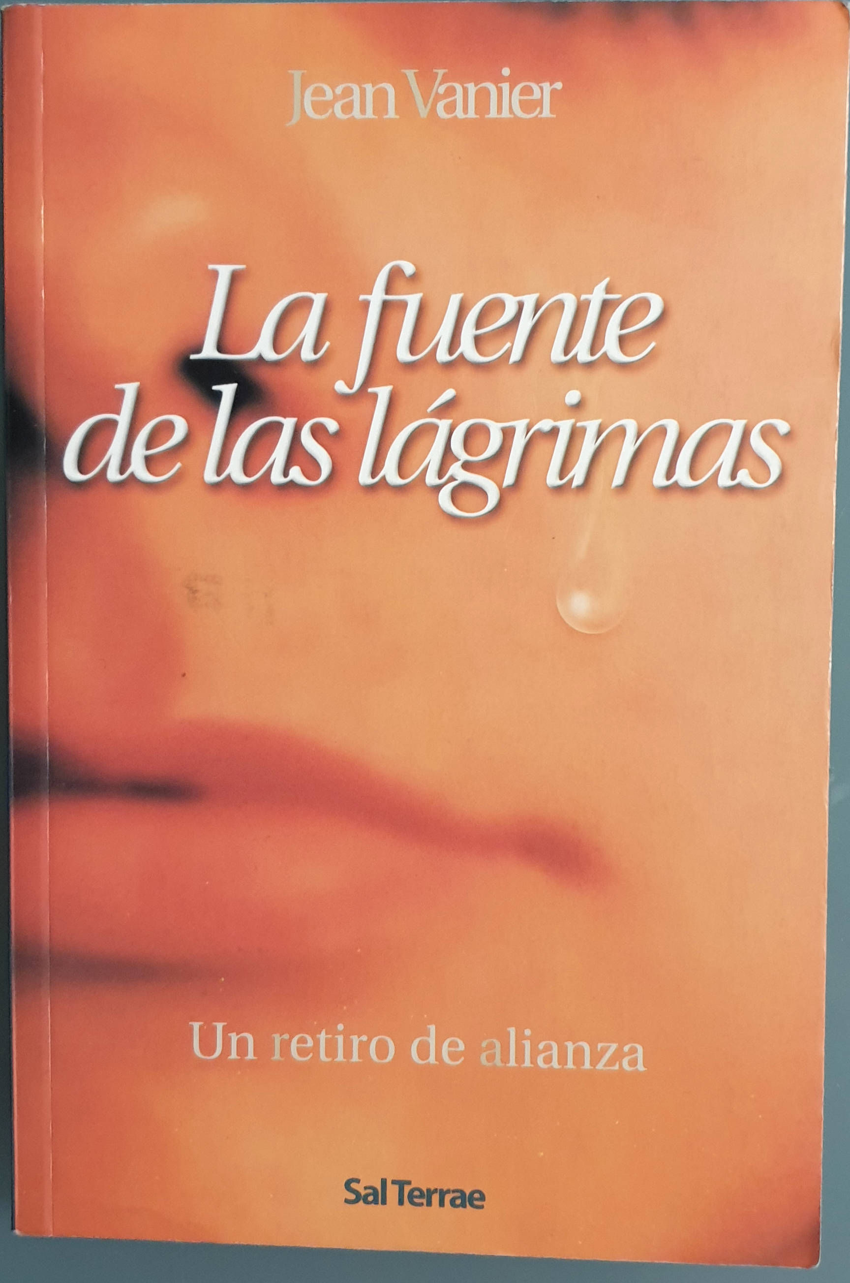 La fuente de las lágrimas | Vanier, Jean