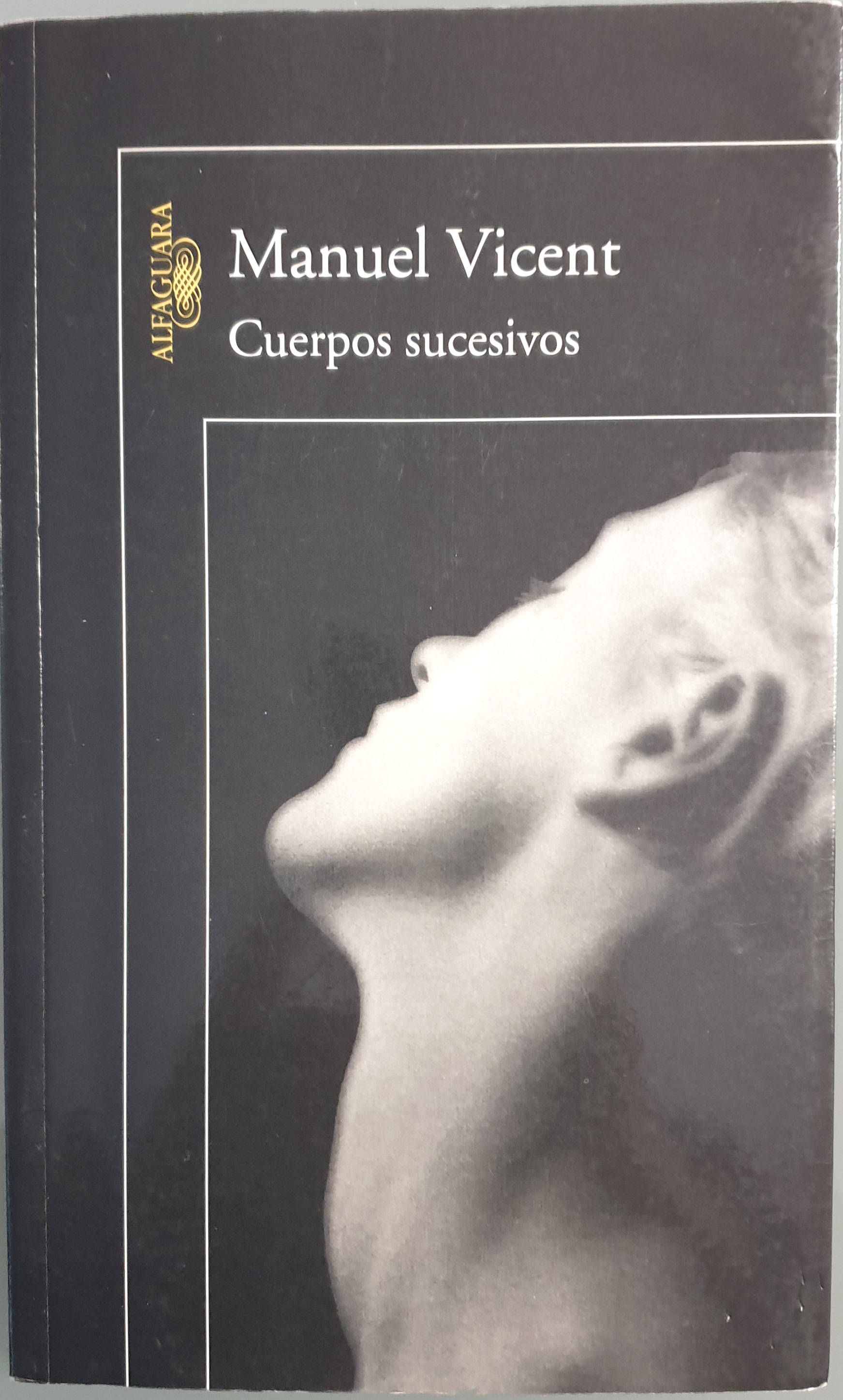Cuerpos sucesivos | Vicent, Manuel