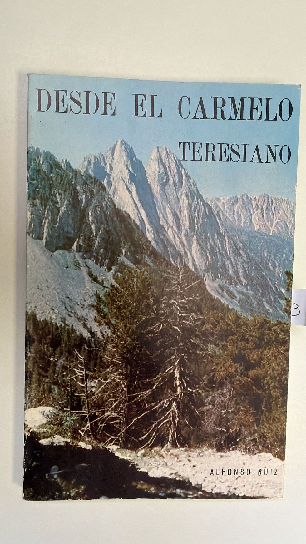 Desde el carmelo teresiano. Ruiz alfonso. Los libros del abuelo, tu libreria solidaria.