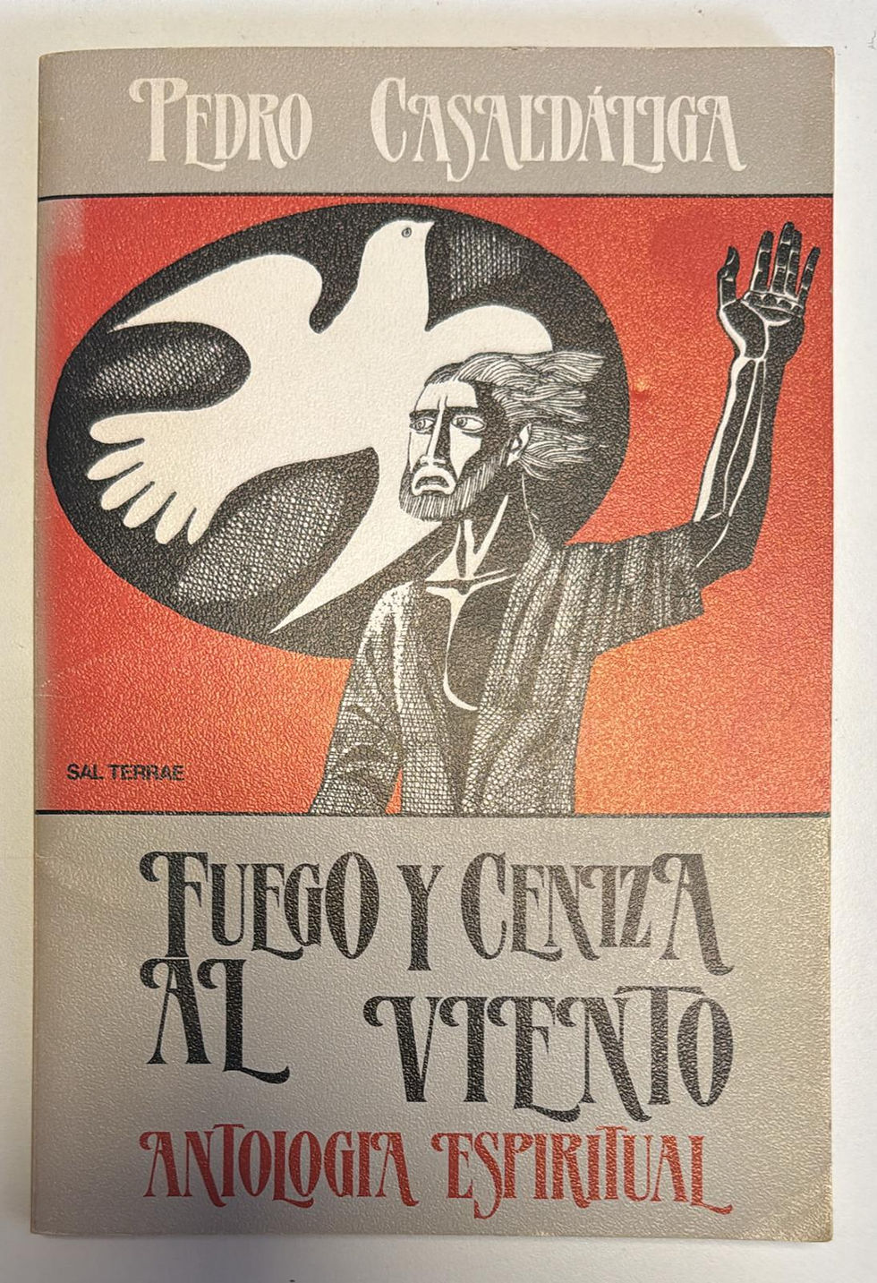 Fuego y ceniza al viento | Casaldáliga Pedro, Los libros del Abuelo, tu librería solidaria