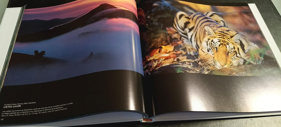 Visión salvaje. Fotógrafos 2006 | VV.AA. Libros del Abuelo, tu librería solidaria..