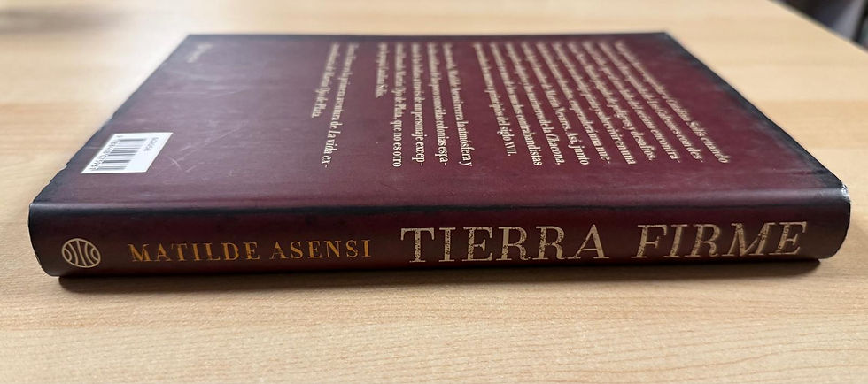 Todo bajo el cielo | Asensi, Matilde L, Los Libros del Abuelo, tu librería solidaria