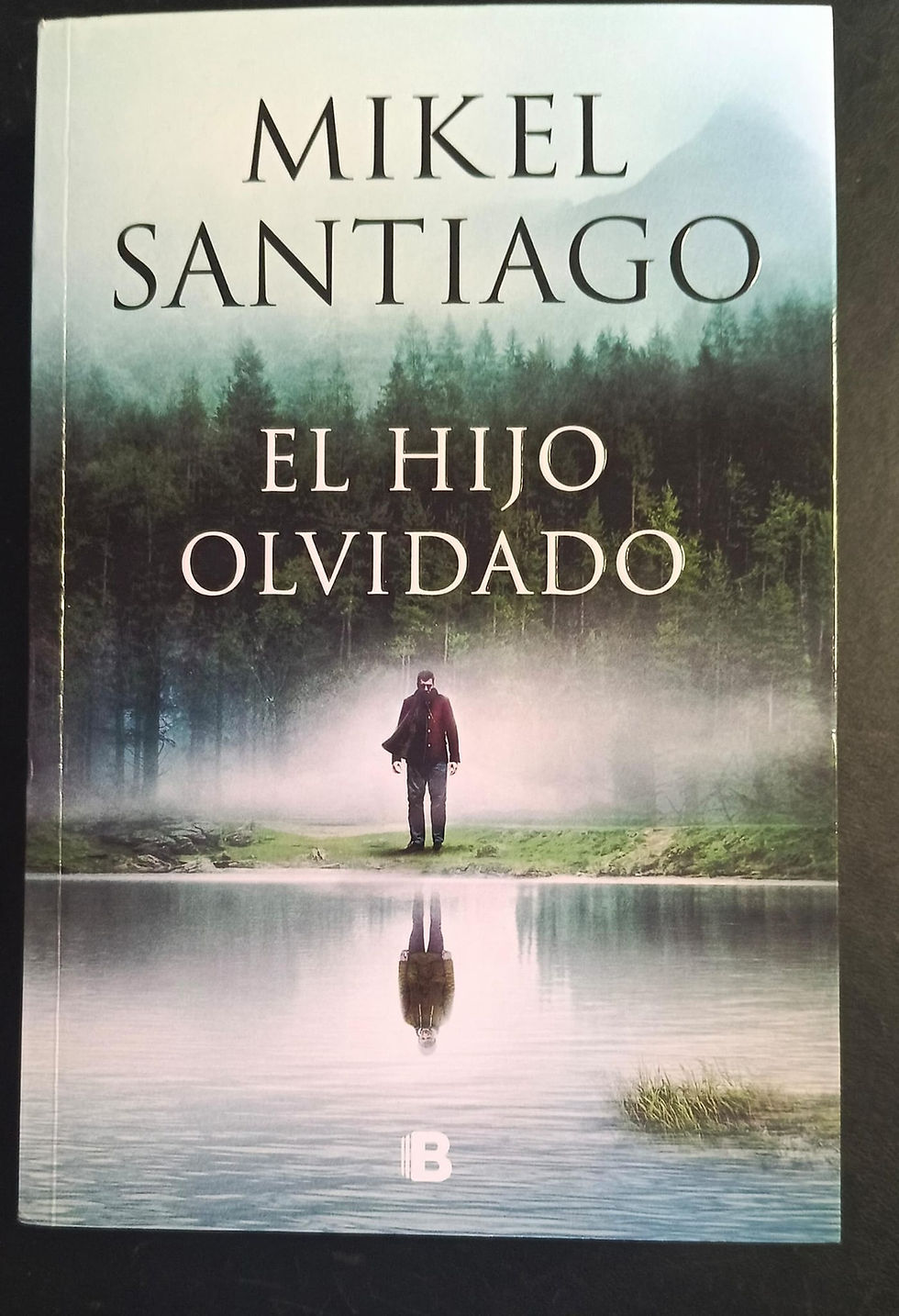 El hijo olvidado | Santiago, Mikel. Los Libros del Abuelo, tu librería solidaria.