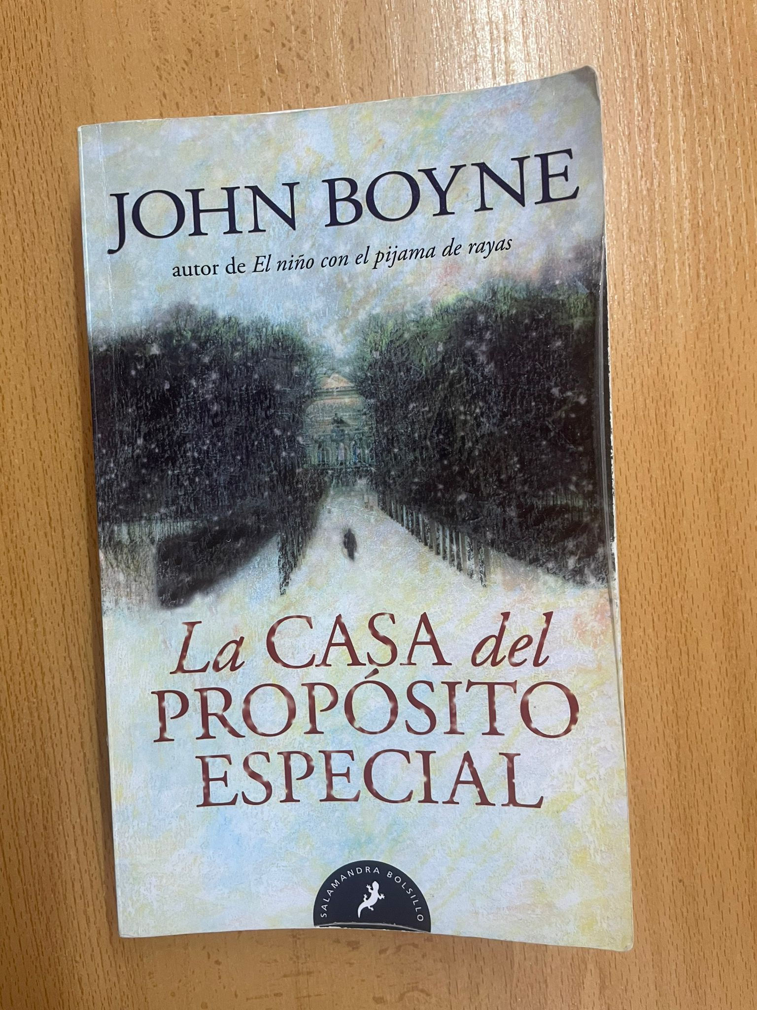 La casa del propósito especial | Boyne, John. Los libros del abuelo, tu librería solidaria