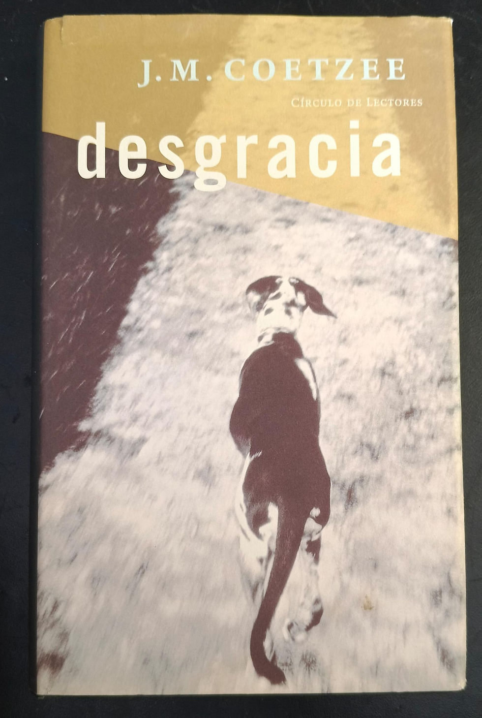 Desgracia | Coetzee, J.M. Los Libros del Abuelo, tu librería solidaria.