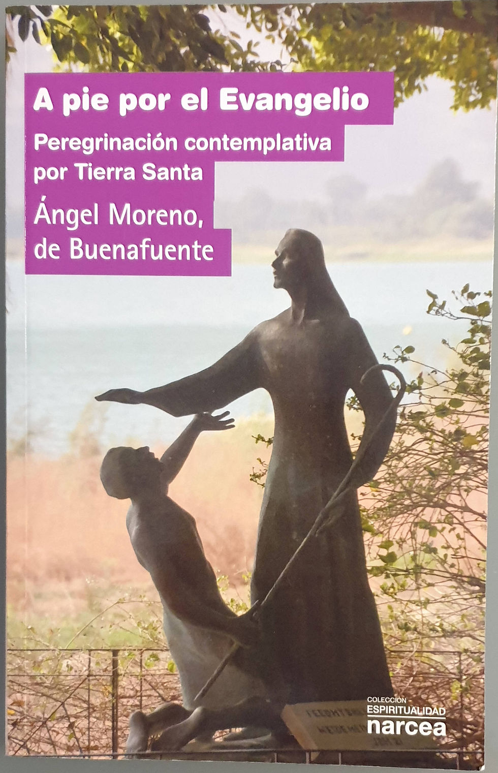 A pie por el Evangelio. Peregrinación contemplativa por Tierra Santa | Moreno, Á