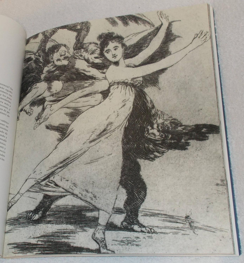 Francisco de Goya en la calcografía nacional VV.AA. Los Libros del Abuelo, tu librería solidaria.