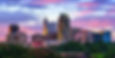 raleigh skyline.jpeg
