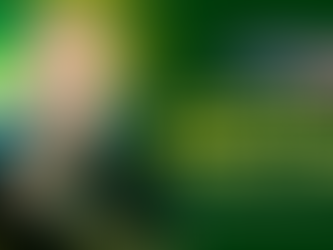 Estreia do Programa Justiça para Todos com Dr. Renato Rocha