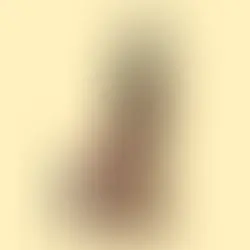 Reflexões sobre as 6 lições de Mises: A inflação (lição 4)