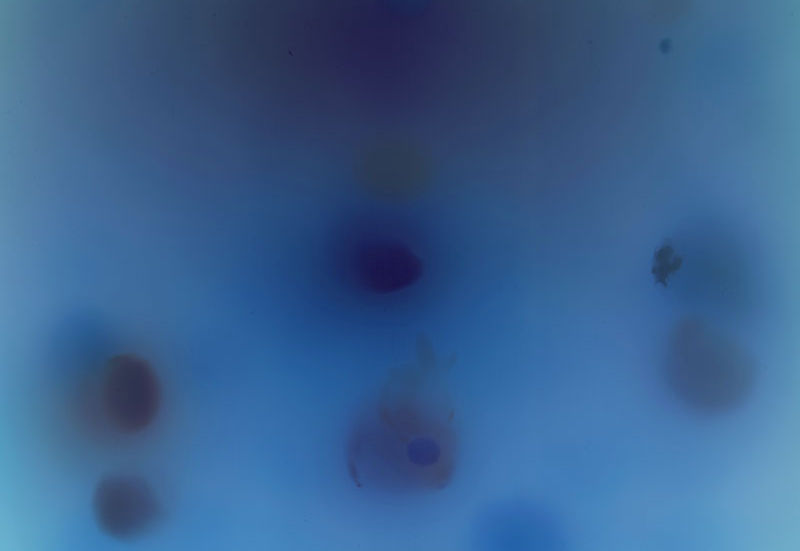 CGB 1819_DRIES SEGERS_07.jpeg