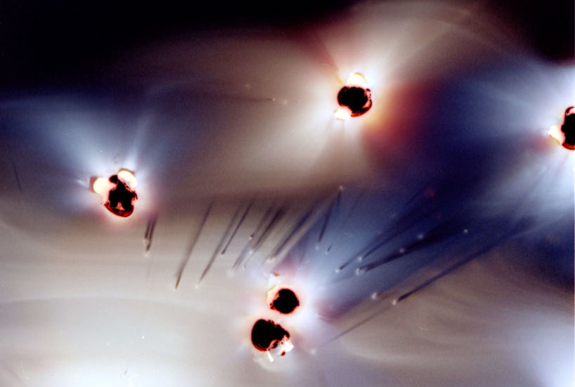 CGB 1819_DRIES SEGERS_08.jpeg