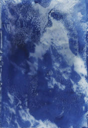 JULIE CALBERT (BE)