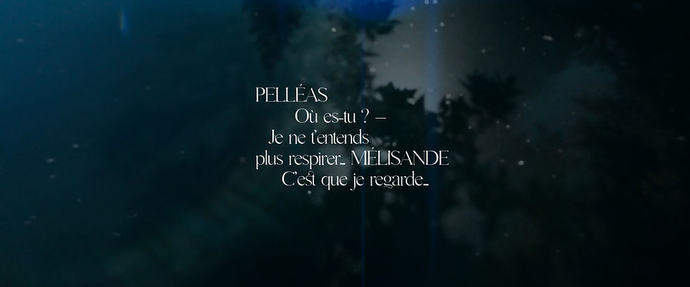 PELLEAS_SCREENSHOTS_8.jpg