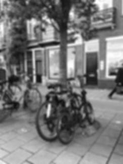 IMG_6218.jpeg
