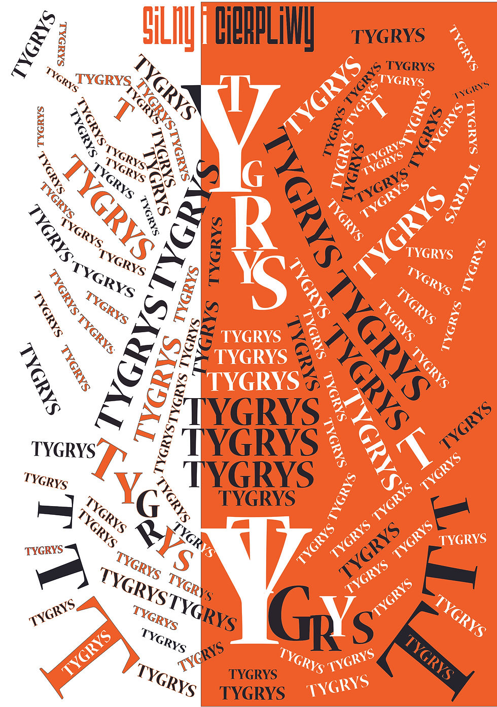 Tygrys 0000.jpg
