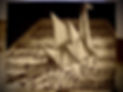 IMG_4474.jpeg