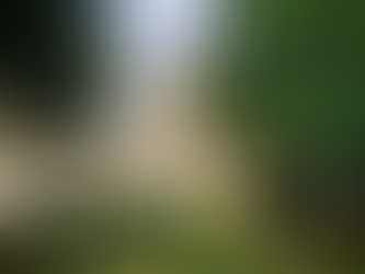 Essere cittadini italiani in Germania: venerdì l’incontro del Comites di Monaco