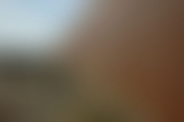 La orden de inmigración de Trump tiene un efecto limitado en los campus locales