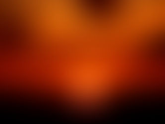 24º Tropical Nights anual llega al Sarasota Polo Club