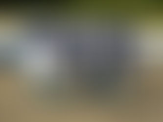 準決勝 66対9 科技高戦 勝利