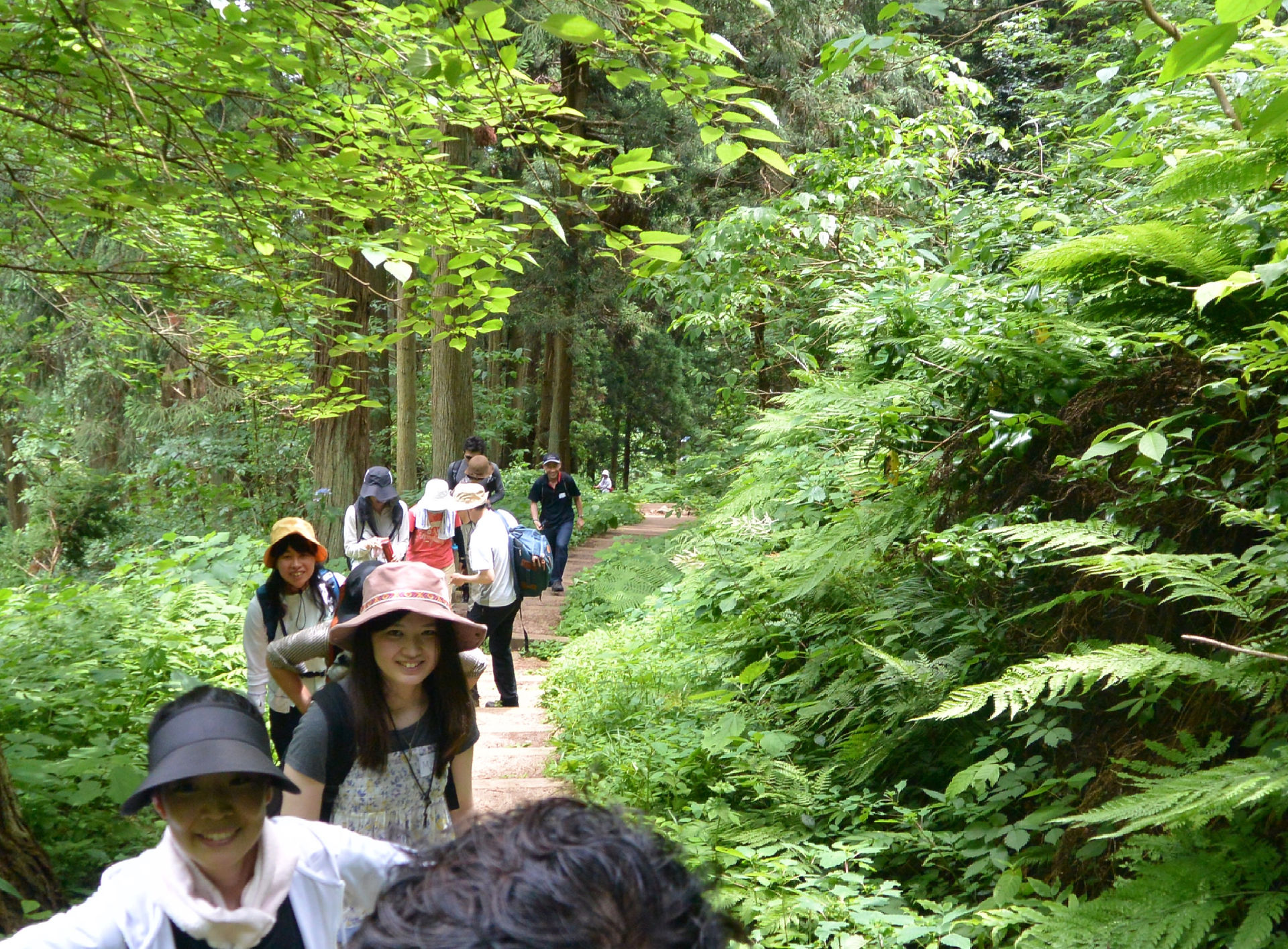 ほたるの里コースで下山