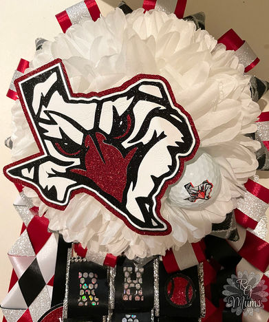 Argyle Golf Garter.jpg