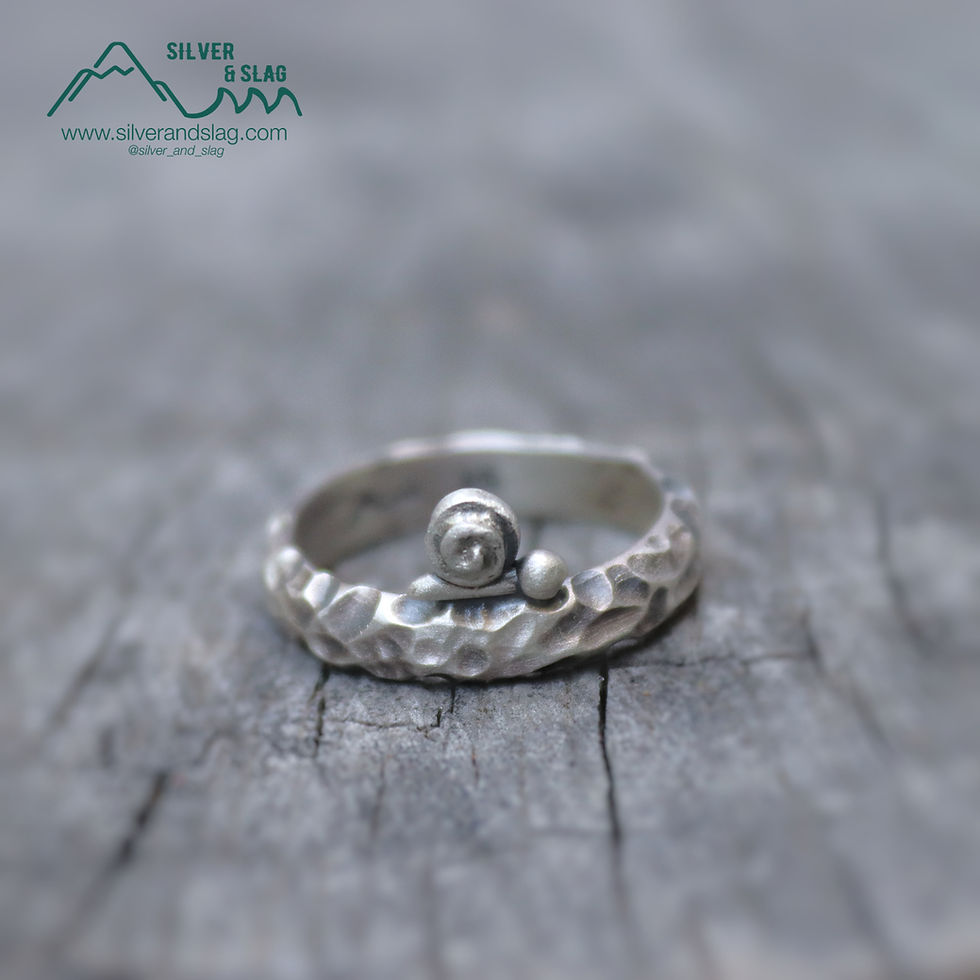 Thumbnail: Snail on a Fallen Decomposing Log Statement Ring