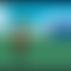 Celebração do Primeiro Trimestre de 2024: 90 dias de Conquistas e Aprendizado!