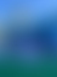 Memorial Day Weekend in Miami Beach