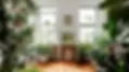 indoor plants.webp
