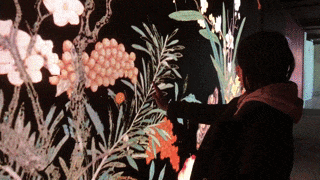 Suizhaoqinggong-animation03-ezgif.com-optimize.gif