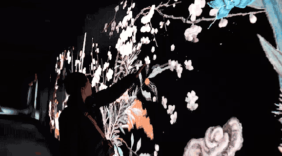 huaKaiSuiZhao.gif
